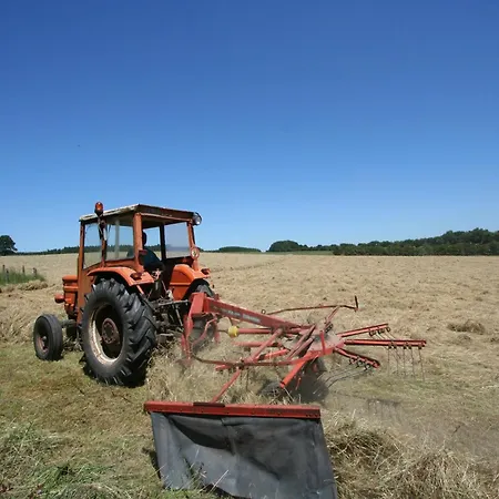 Cozy In Dom wakacyjny