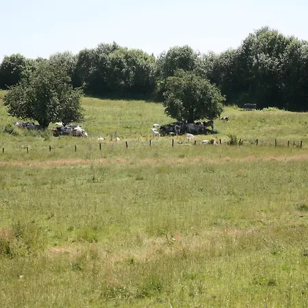 Cozy In بيت للعطل *