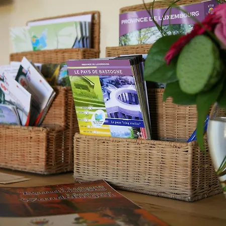 Peaceful In Ardennes With Private Terrace Vakantiehuis